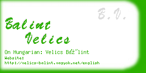 balint velics business card